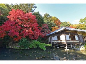 横ブロ龍野